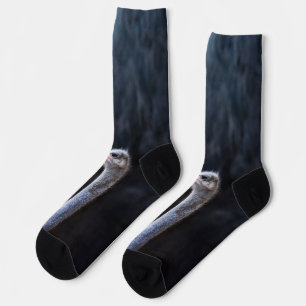Chaussette Photographie d'autruche