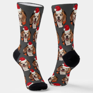 Chaussette Photos pour animaux de compagnie et chapeaux de Pè