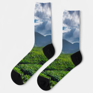 Chaussette Plantation de thé de Cameron Highlands