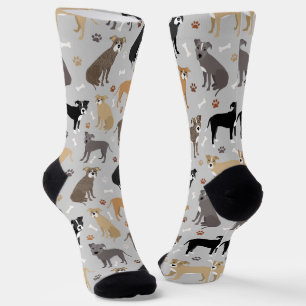 Chaussette Poches Pitbull et socles