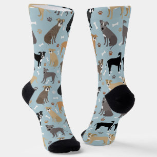 Chaussette Poches Pitbull et socles