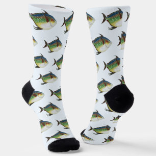 Chaussette Poisson lunaire tropical, animal aquatique marin v