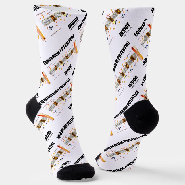 Chaussette Potentiel d'équilibre dans le transport actif (Angulaire)
