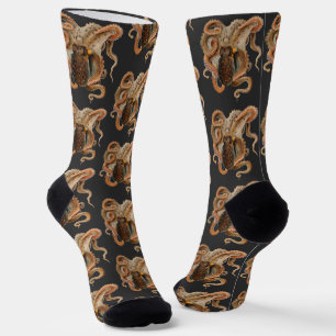 Chaussette Poulpe Vulgaris, Animaux de la Vie Marine Vintage