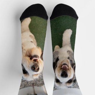 Chaussette Pupper Socks
