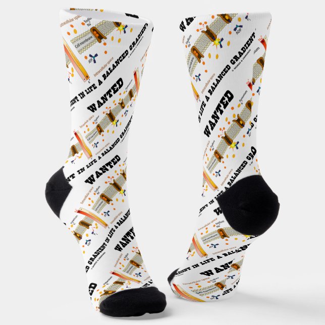 Chaussette Recherché A Gradient Équilibré Dans La Vie (Pompe  (Angulaire)