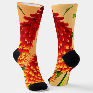 Chaussette red hot pokers print