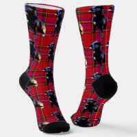 Red Tartan Staffordshire Bull Terrier, Chaussettes