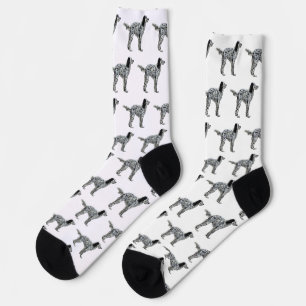 Chaussette Setter de Llewellin