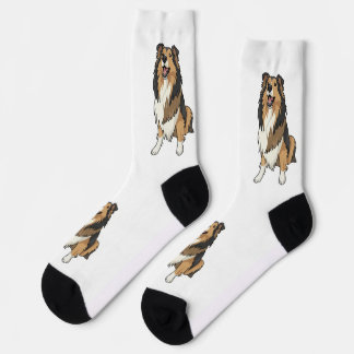Chaussette Sheltie Cartoon image