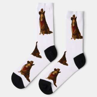 Chaussette Sheltie occidental