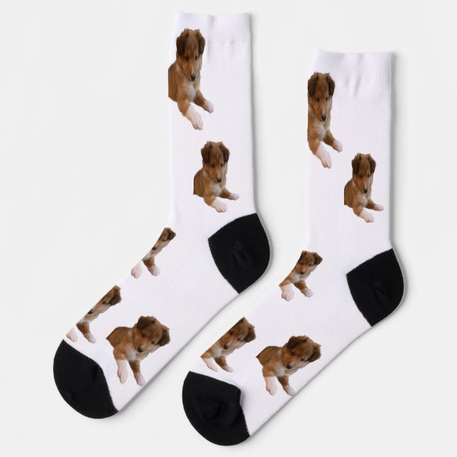 Chaussette Sheltie Puppy (Gauche)