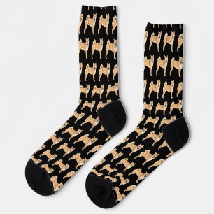 Chaussette Shiba Inu
