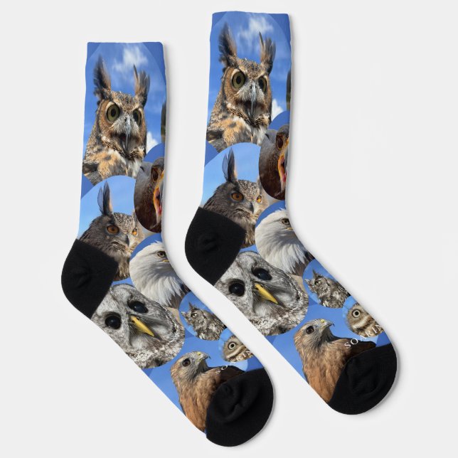 Chaussette Soarin' Hawk Birds - Premium Crew Sock (Droite)