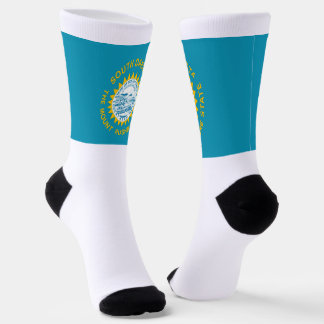 Chaussette South Dakota State flag
