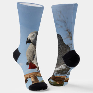 Chaussette Superbe perroquet gris africain