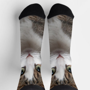 Chaussette Tabby Chat avec yeux verts contre Arrière - plan n
