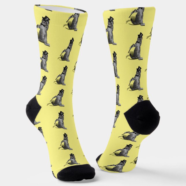 Chaussette Tap Dancing Kitten (Angulaire)
