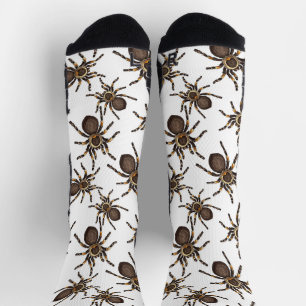Chaussette Tarantula sur blanc