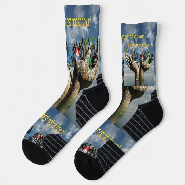 Chaussette The Unlikely Hero: Witness the "Frog That Carries  (Gauche)