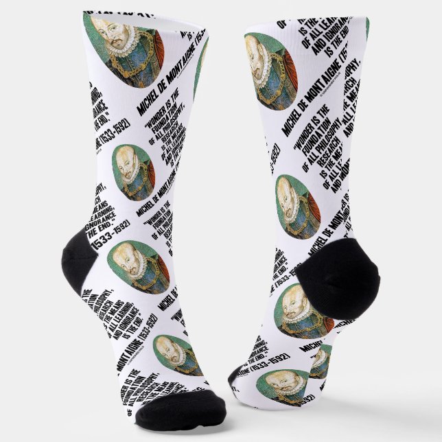 Chaussette Wonder Est La Fondation De La Philosophie Montaign (Angulaire)