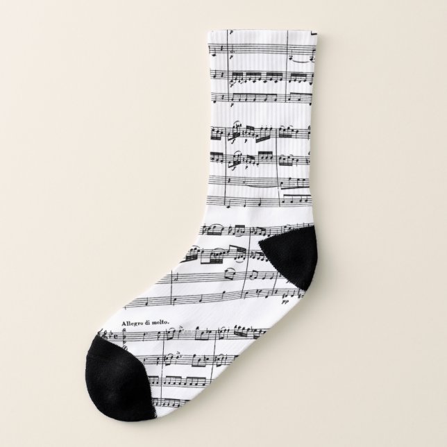 Chaussettes de musique de Mozart (Gauche - extérieur)