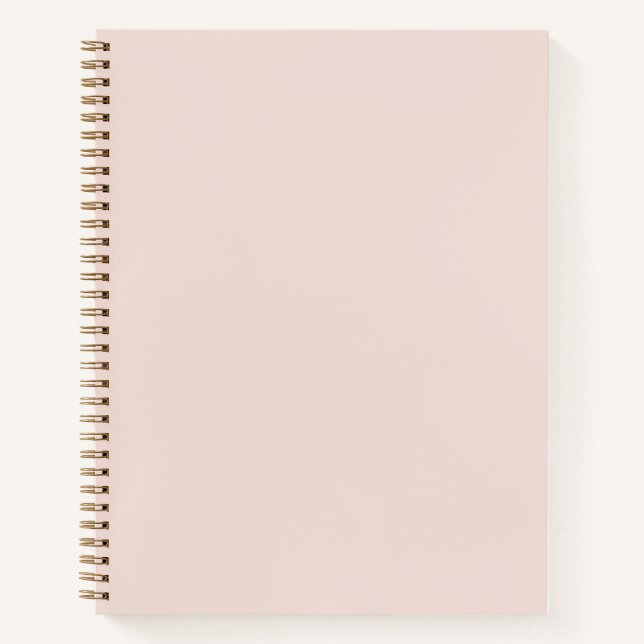 Chaussons de Ballet Clair Carnet de couleur rose s (Devant)