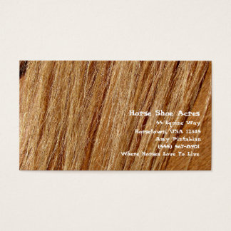 Chaussure à cheval Acres Sorrel Mane