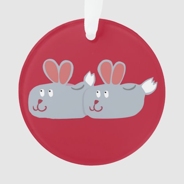 Chaussures Bunny (devant)