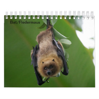 /Chauve-souris comme calendrier a demandé