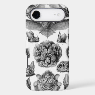 Chauve-souris Haeckel vintage