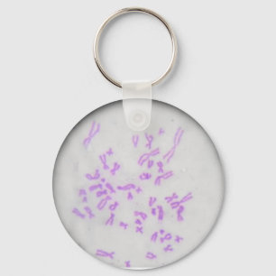 Chaveiro Chromosomes Keychain