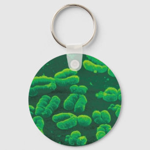Chaveiro chromosomes keychain
