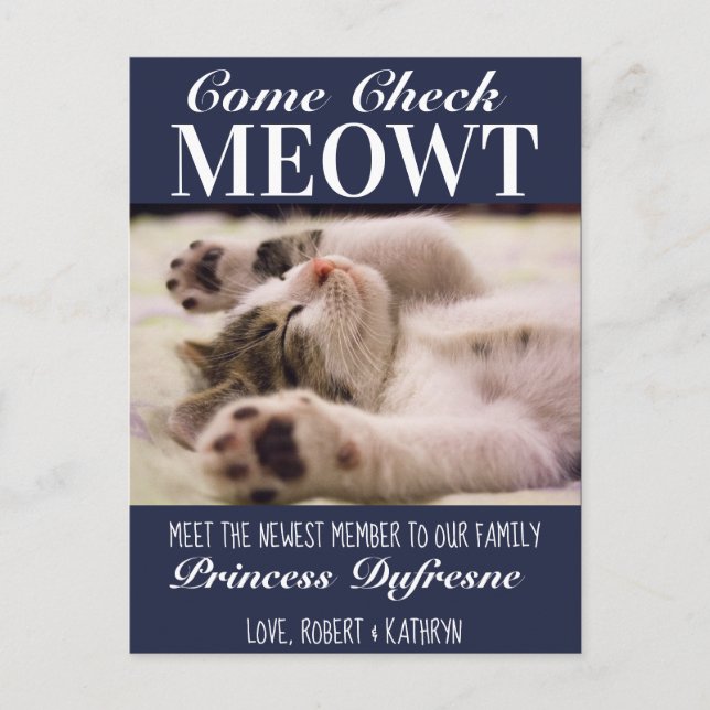 "Check Meowt" New Cat Announcement Blue Postcard (Front)