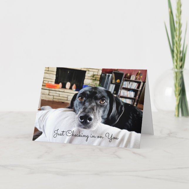 Checking in on You | Cute Dog Personalized  Card (Front)