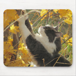 Checking out the fall colours mouse pad