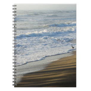 Checking The Shoreline Notebook