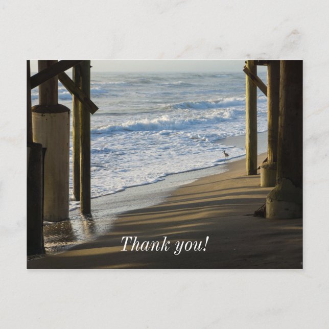 Checking The Shoreline Postcard (Front)