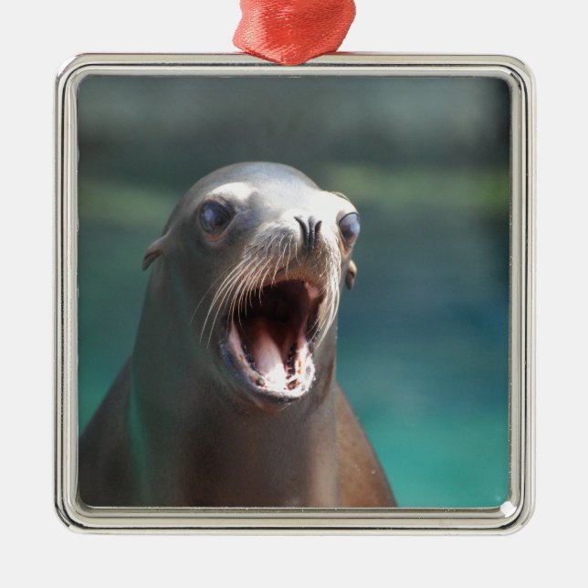 Checkout My Tonsils! Metal Ornament (Front)