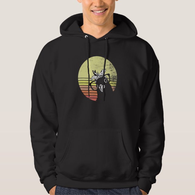 Cheeky Chicken Retro Sunset Sunglasses Hoodie (Front)
