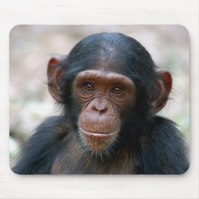 Cheeky Chimp Mouse Pad (Front)