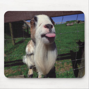 Cheeky Goat Mouse Mat