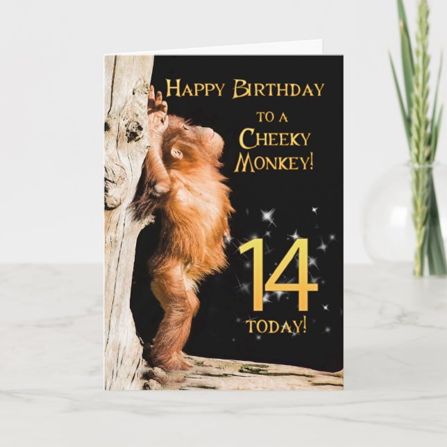 Cheeky monkey age 14 card (Front)