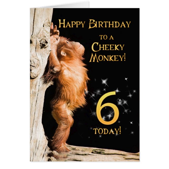Cheeky monkey age 6 (Front)