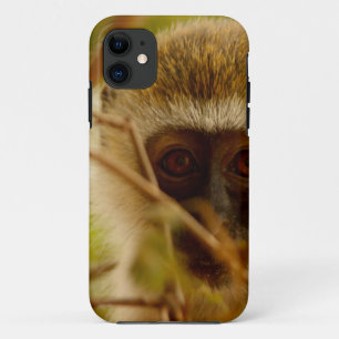 Cheeky Monkey. iPhone 11 Case