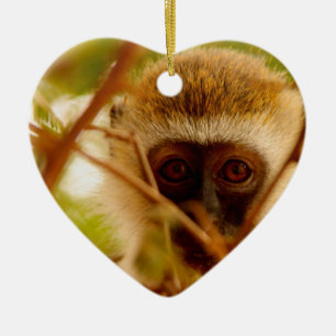 Cheeky Monkey. Ceramic Ornament