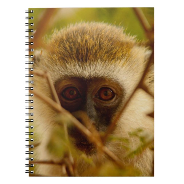 Cheeky Monkey. Notebook (Front)