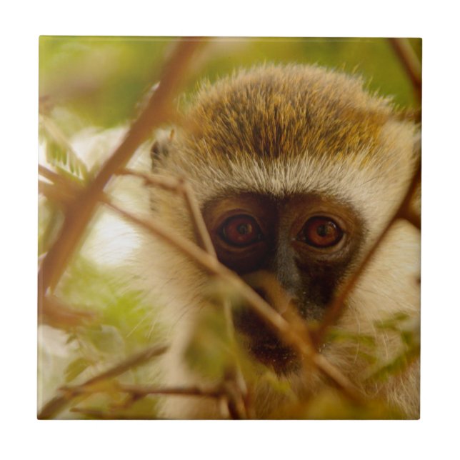 Cheeky Monkey. Tile (Front)