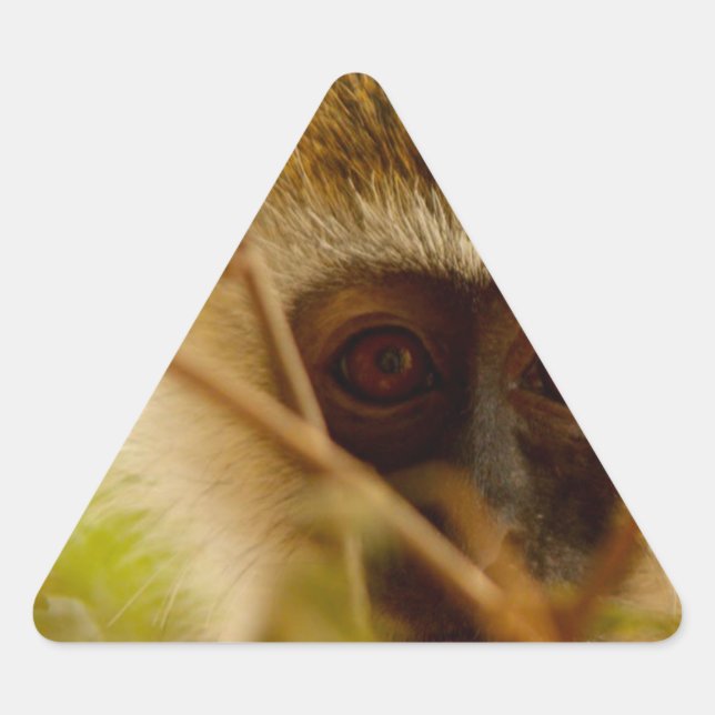 Cheeky Monkey. Triangle Sticker (Front)
