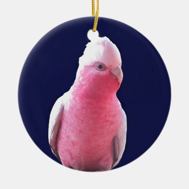 Cheeky pink and gray Australian parrot Ceramic Ornament (Front)